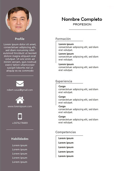plantilla currículum administrador de redes